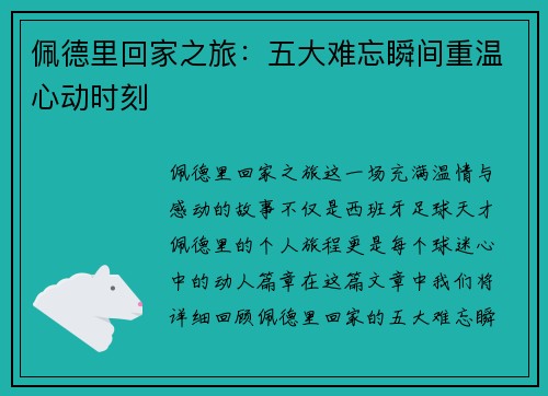佩德里回家之旅：五大难忘瞬间重温心动时刻