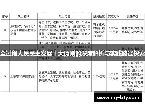 全过程人民民主发展十大原则的深度解析与实践路径探索