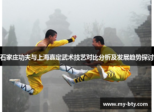 石家庄功夫与上海嘉定武术技艺对比分析及发展趋势探讨