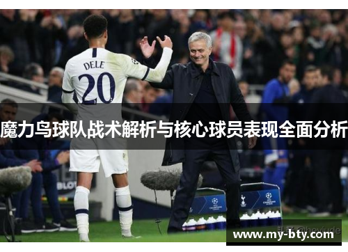 魔力鸟球队战术解析与核心球员表现全面分析
